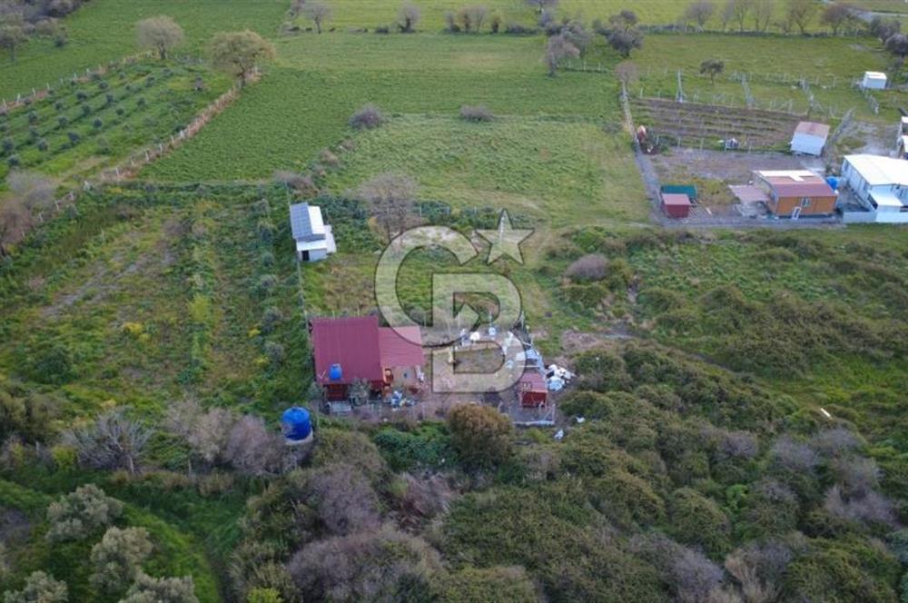 HELVACIDA 258m2 TEK TAPU YOLU OLAN TARLA