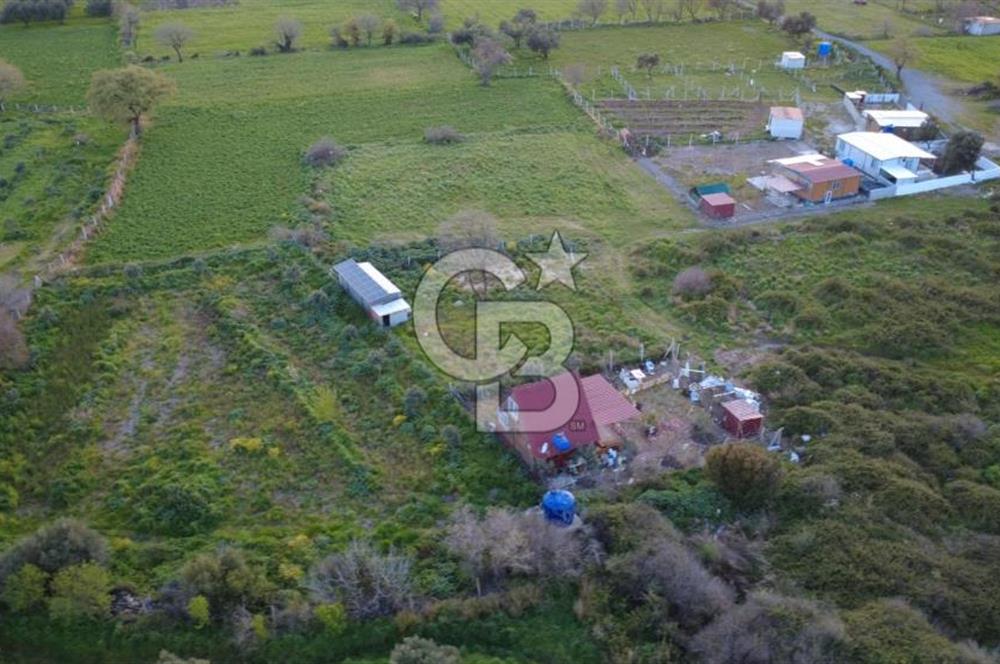 HELVACIDA 258m2 TEK TAPU YOLU OLAN TARLA