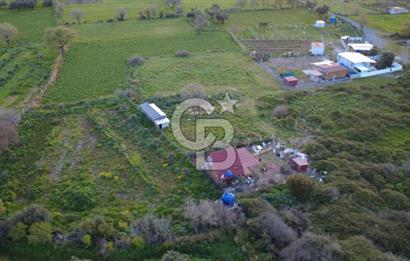 HELVACIDA 258m2 TEK TAPU YOLU OLAN TARLA