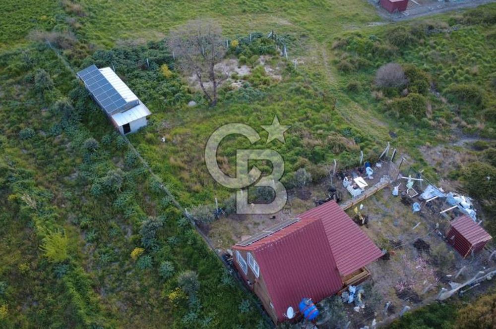 HELVACIDA 258m2 TEK TAPU YOLU OLAN TARLA