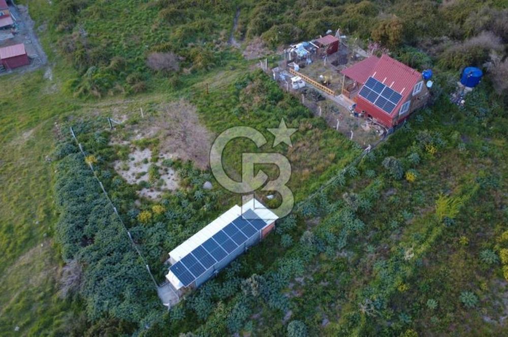 HELVACIDA 258m2 TEK TAPU YOLU OLAN TARLA