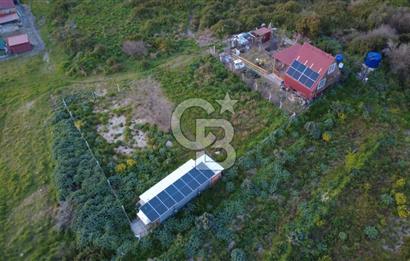 HELVACIDA 258m2 TEK TAPU YOLU OLAN TARLA