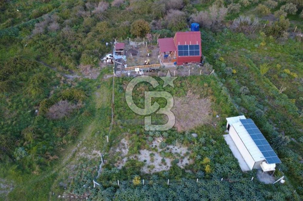 HELVACIDA 258m2 TEK TAPU YOLU OLAN TARLA