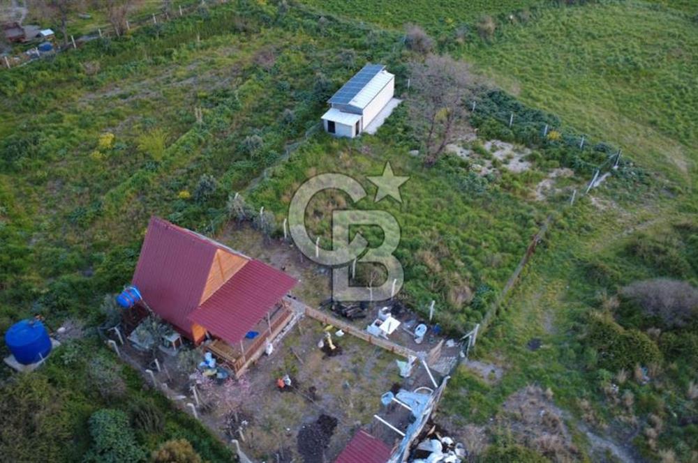 HELVACIDA 258m2 TEK TAPU YOLU OLAN TARLA