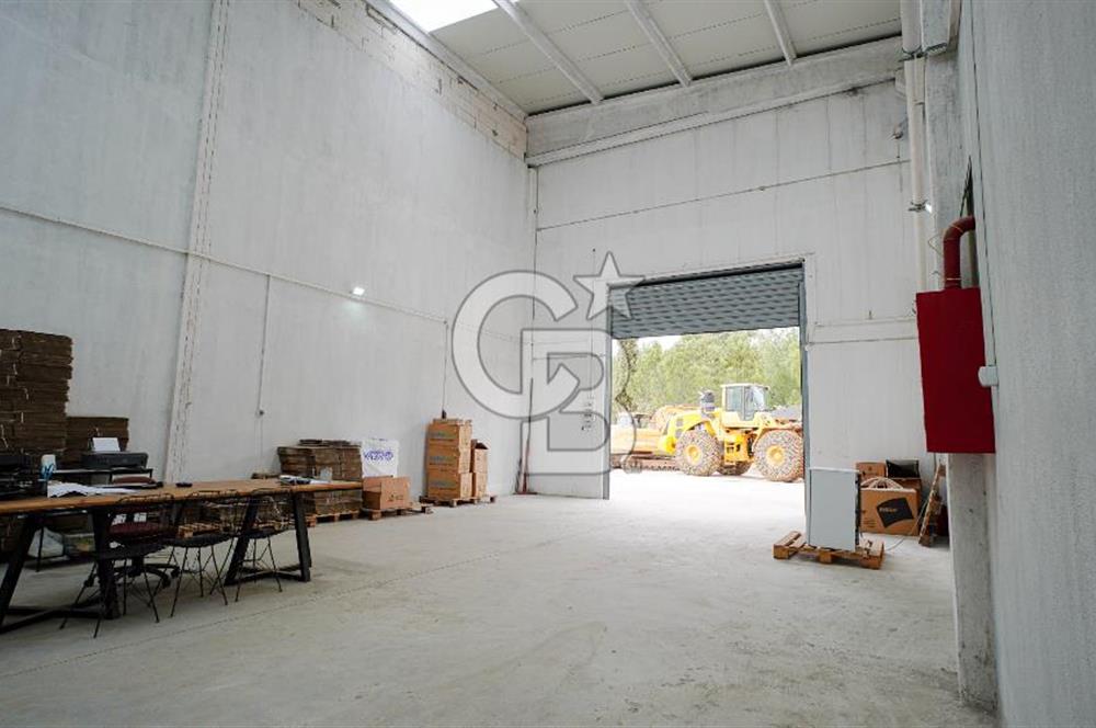 BAYIR OSB DEVREN SATILIK 10 YILLIK E-TİCARET ZEYTİNYAĞI FİRMASI