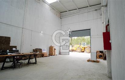 BAYIR OSB DEVREN SATILIK 10 YILLIK E-TİCARET ZEYTİNYAĞI FİRMASI