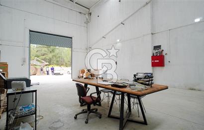 BAYIR OSB DEVREN SATILIK 10 YILLIK E-TİCARET ZEYTİNYAĞI FİRMASI