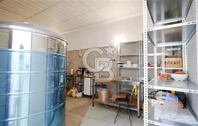 BAYIR OSB DEVREN SATILIK 10 YILLIK E-TİCARET ZEYTİNYAĞI FİRMASI