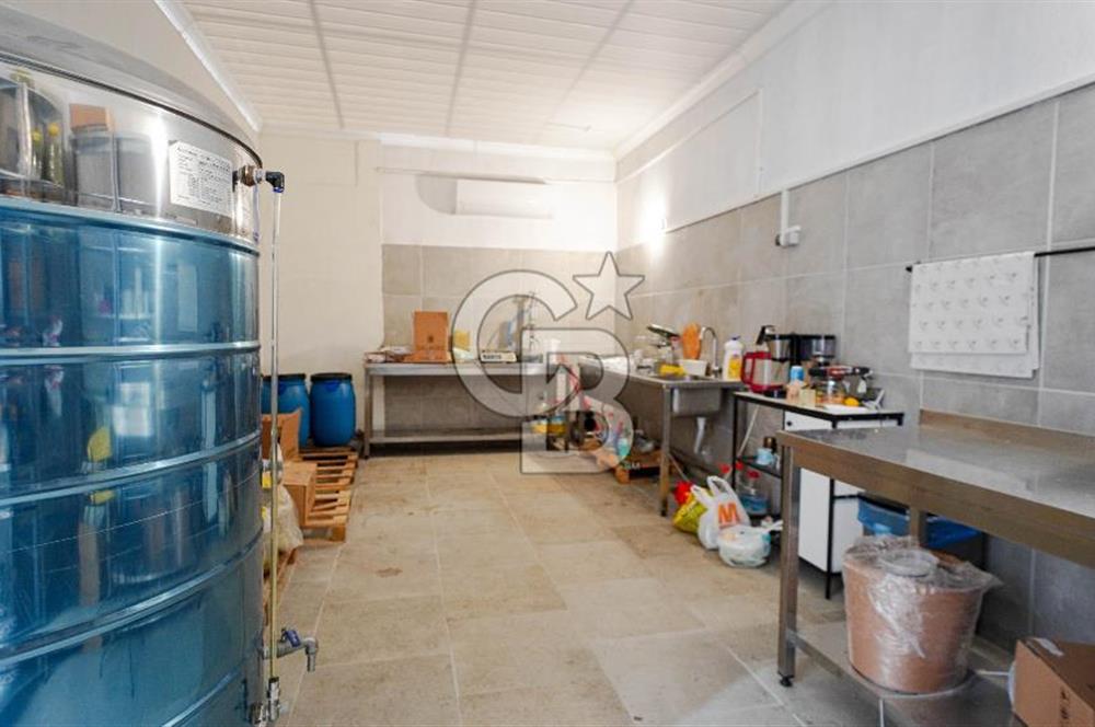 BAYIR OSB DEVREN SATILIK 10 YILLIK E-TİCARET ZEYTİNYAĞI FİRMASI