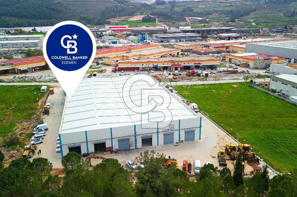 BAYIR OSB DEVREN SATILIK 10 YILLIK E-TİCARET ZEYTİNYAĞI FİRMASI