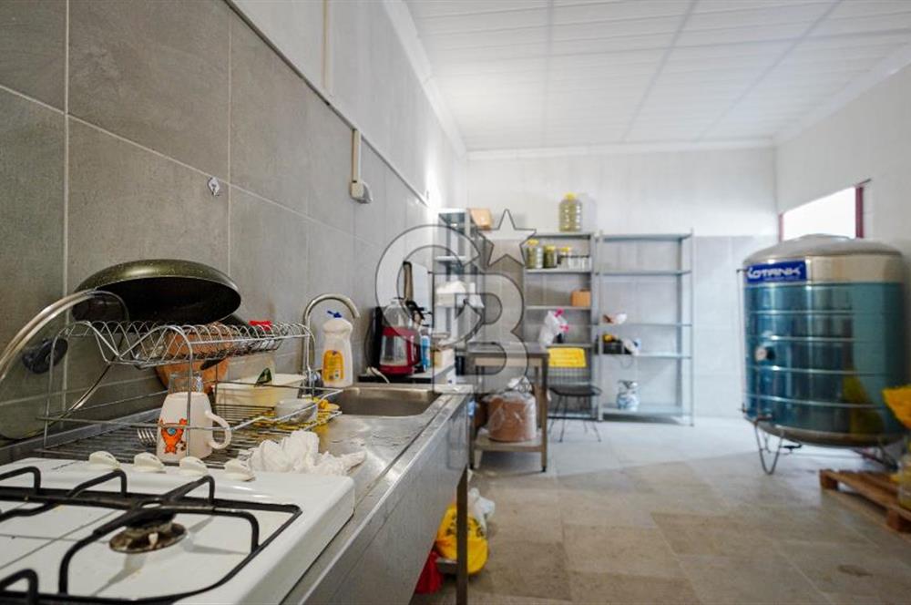 BAYIR OSB DEVREN SATILIK 10 YILLIK E-TİCARET ZEYTİNYAĞI FİRMASI