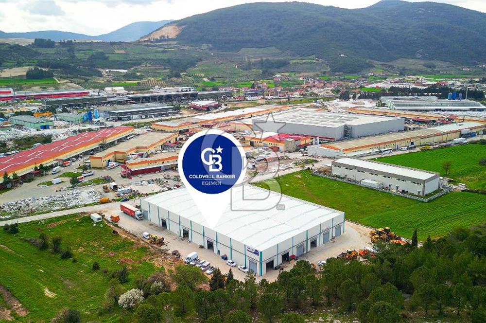 BAYIR OSB DEVREN SATILIK 10 YILLIK E-TİCARET ZEYTİNYAĞI FİRMASI