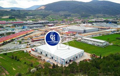 BAYIR OSB DEVREN SATILIK 10 YILLIK E-TİCARET ZEYTİNYAĞI FİRMASI