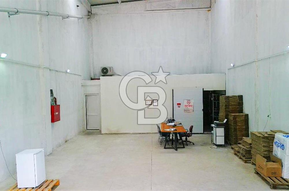 BAYIR OSB DEVREN SATILIK 10 YILLIK E-TİCARET ZEYTİNYAĞI FİRMASI