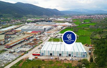 BAYIR OSB DEVREN SATILIK 10 YILLIK E-TİCARET ZEYTİNYAĞI FİRMASI