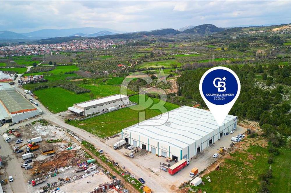 BAYIR OSB DEVREN SATILIK 10 YILLIK E-TİCARET ZEYTİNYAĞI FİRMASI