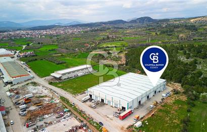 BAYIR OSB DEVREN SATILIK 10 YILLIK E-TİCARET ZEYTİNYAĞI FİRMASI