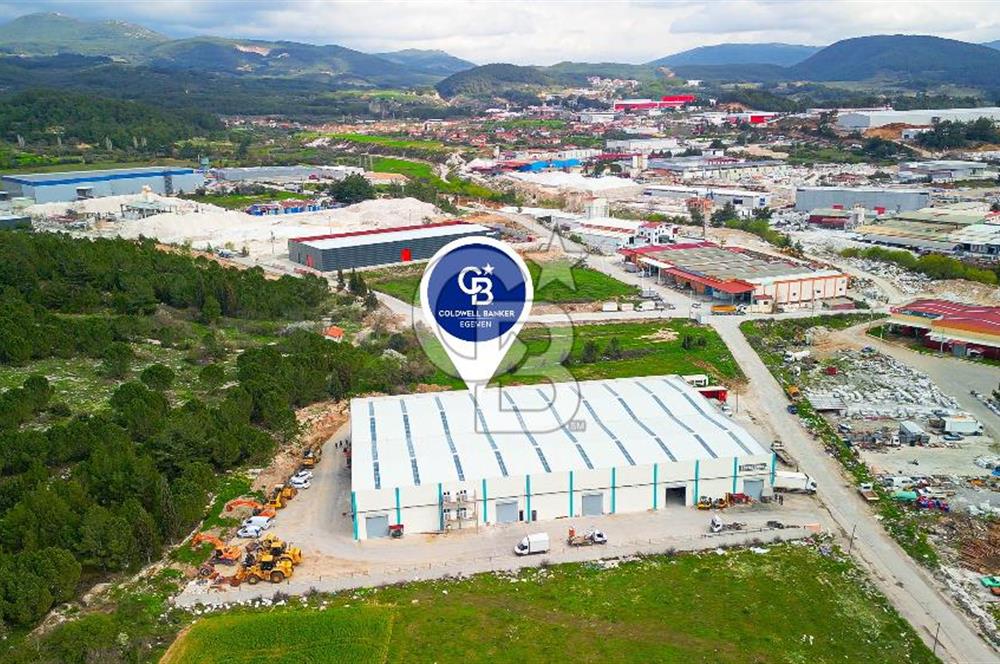 BAYIR OSB DEVREN SATILIK 10 YILLIK E-TİCARET ZEYTİNYAĞI FİRMASI