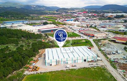 BAYIR OSB DEVREN SATILIK 10 YILLIK E-TİCARET ZEYTİNYAĞI FİRMASI