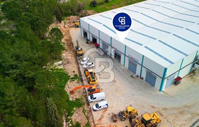 BAYIR OSB DEVREN SATILIK 10 YILLIK E-TİCARET ZEYTİNYAĞI FİRMASI