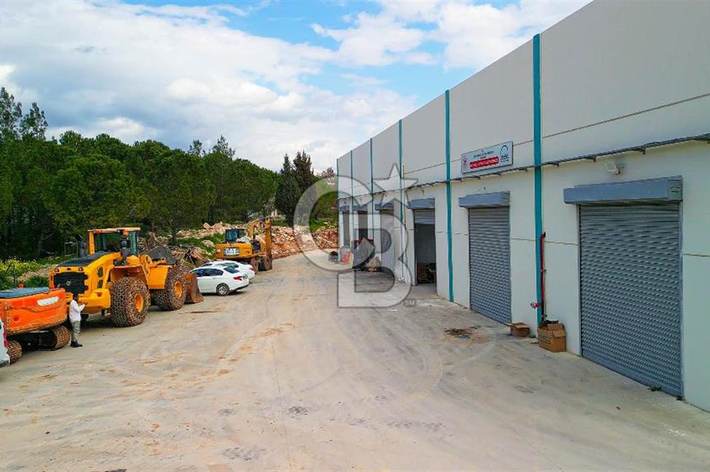 BAYIR OSB DEVREN SATILIK 10 YILLIK E-TİCARET ZEYTİNYAĞI FİRMASI