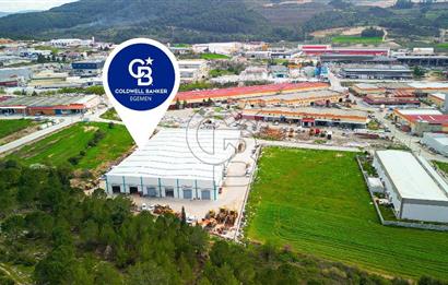 BAYIR OSB DEVREN SATILIK 10 YILLIK E-TİCARET ZEYTİNYAĞI FİRMASI