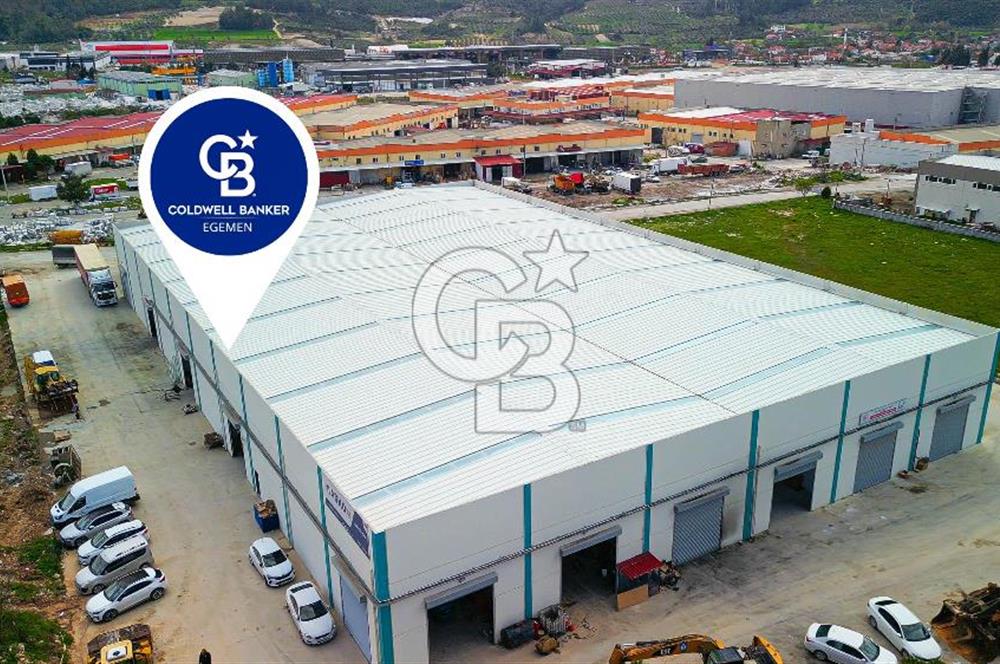 BAYIR OSB DEVREN SATILIK 10 YILLIK E-TİCARET ZEYTİNYAĞI FİRMASI