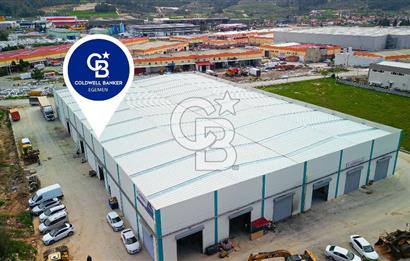 BAYIR OSB DEVREN SATILIK 10 YILLIK E-TİCARET ZEYTİNYAĞI FİRMASI