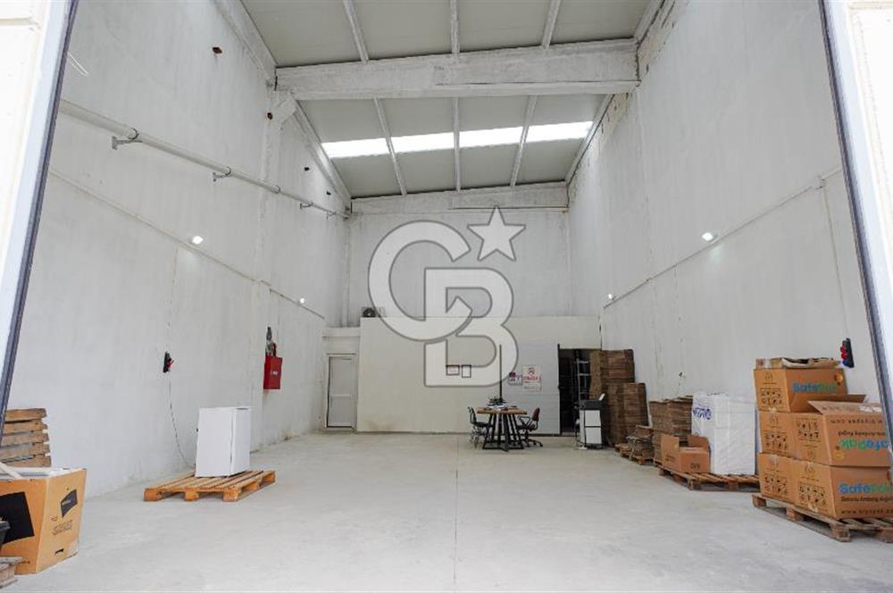 BAYIR OSB DEVREN SATILIK 10 YILLIK E-TİCARET ZEYTİNYAĞI FİRMASI