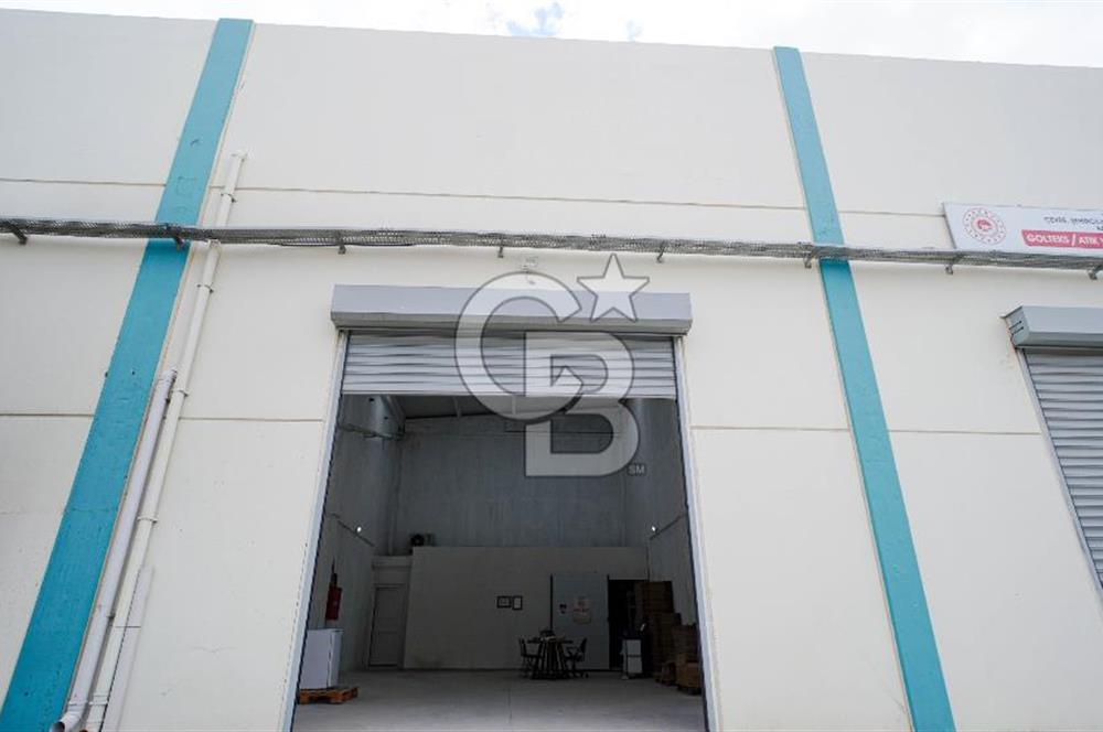 BAYIR OSB DEVREN SATILIK 10 YILLIK E-TİCARET ZEYTİNYAĞI FİRMASI