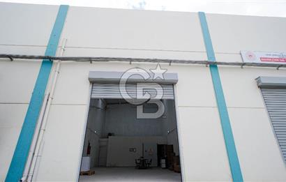 BAYIR OSB DEVREN SATILIK 10 YILLIK E-TİCARET ZEYTİNYAĞI FİRMASI