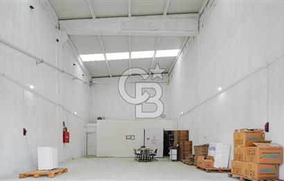 BAYIR OSB DEVREN SATILIK 10 YILLIK E-TİCARET ZEYTİNYAĞI FİRMASI