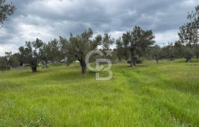 İzmir Aliağa AşağıŞakranda Denize Yakın İmarlı Satılık Arsa CBPH