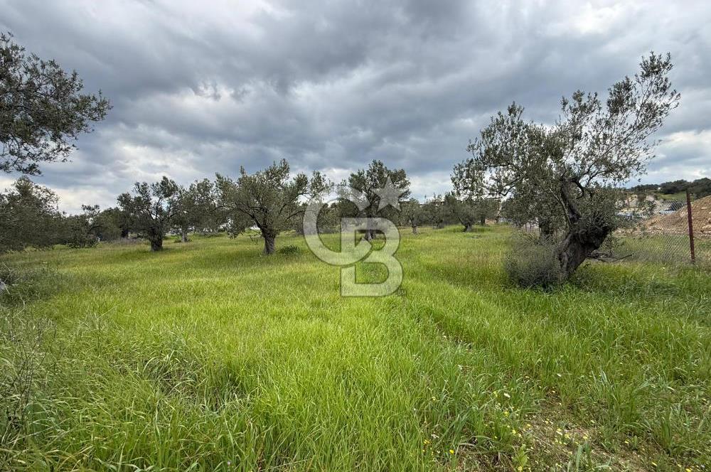 İzmir Aliağa AşağıŞakranda Denize Yakın İmarlı Satılık Arsa CBPH
