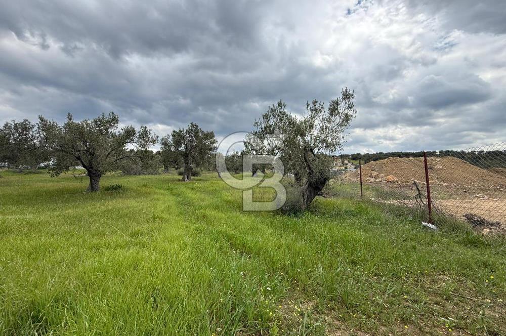 İzmir Aliağa AşağıŞakranda Denize Yakın İmarlı Satılık Arsa CBPH