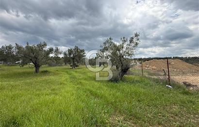 İzmir Aliağa AşağıŞakranda Denize Yakın İmarlı Satılık Arsa CBPH