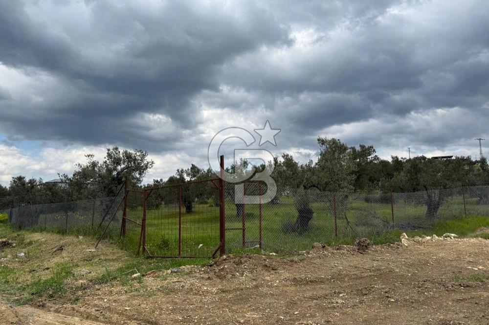 İzmir Aliağa AşağıŞakranda Denize Yakın İmarlı Satılık Arsa CBPH