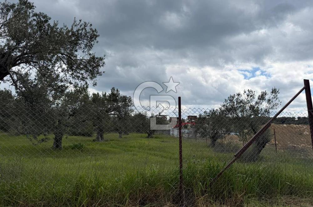 İzmir Aliağa AşağıŞakranda Denize Yakın İmarlı Satılık Arsa CBPH