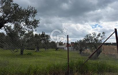 İzmir Aliağa AşağıŞakranda Denize Yakın İmarlı Satılık Arsa CBPH