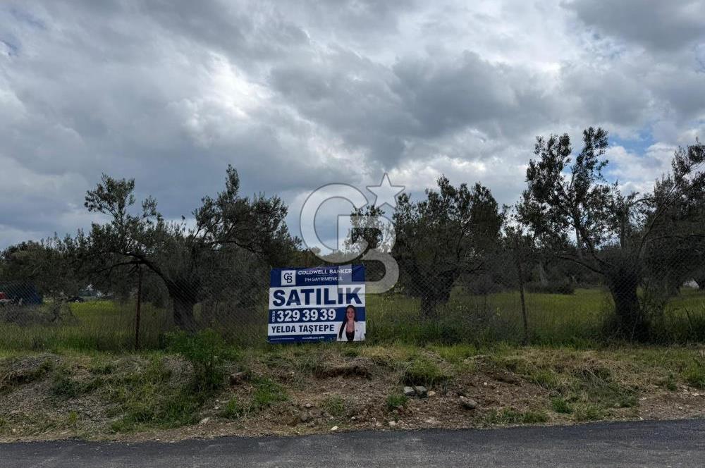 İzmir Aliağa AşağıŞakranda Denize Yakın İmarlı Satılık Arsa CBPH