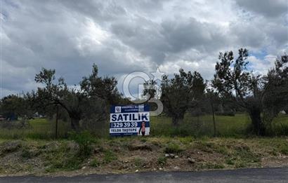 İzmir Aliağa AşağıŞakranda Denize Yakın İmarlı Satılık Arsa CBPH
