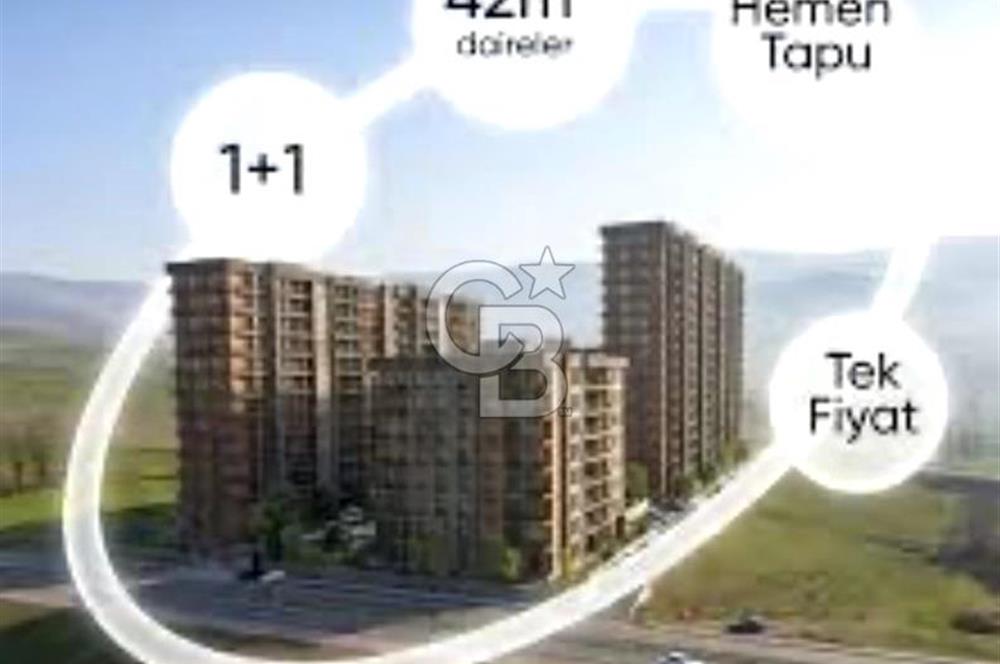 ANKARA DPDORGA XEN PROJESİ 