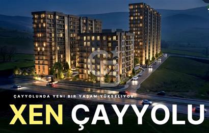 ANKARA DPDORGA XEN PROJESİ 