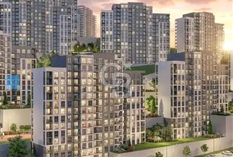 ankara natura banilyo  - 7 - 342188