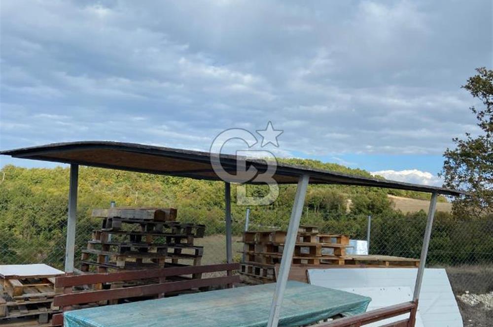 KÖRFEZ ALİHOCALAR DA 347 M2 SATILIK TARLA 