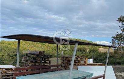 KÖRFEZ ALİHOCALAR DA 347 M2 SATILIK TARLA 