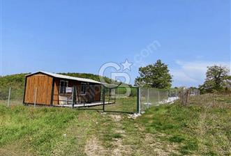 KÖRFEZ ALİHOCALAR DA 347 M2 SATILIK TARLA  - 10 - 342223