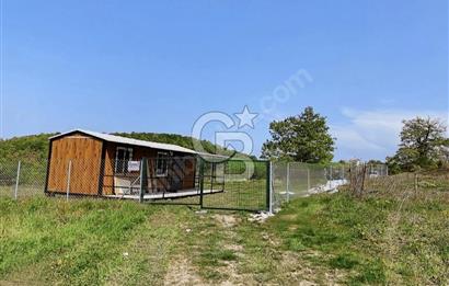 KÖRFEZ ALİHOCALAR DA 347 M2 SATILIK TARLA 