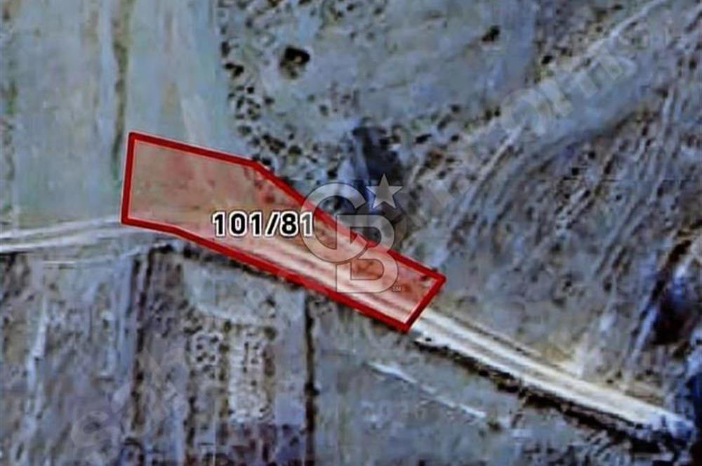 KÖRFEZ ALİHOCALAR DA 347 M2 SATILIK TARLA 