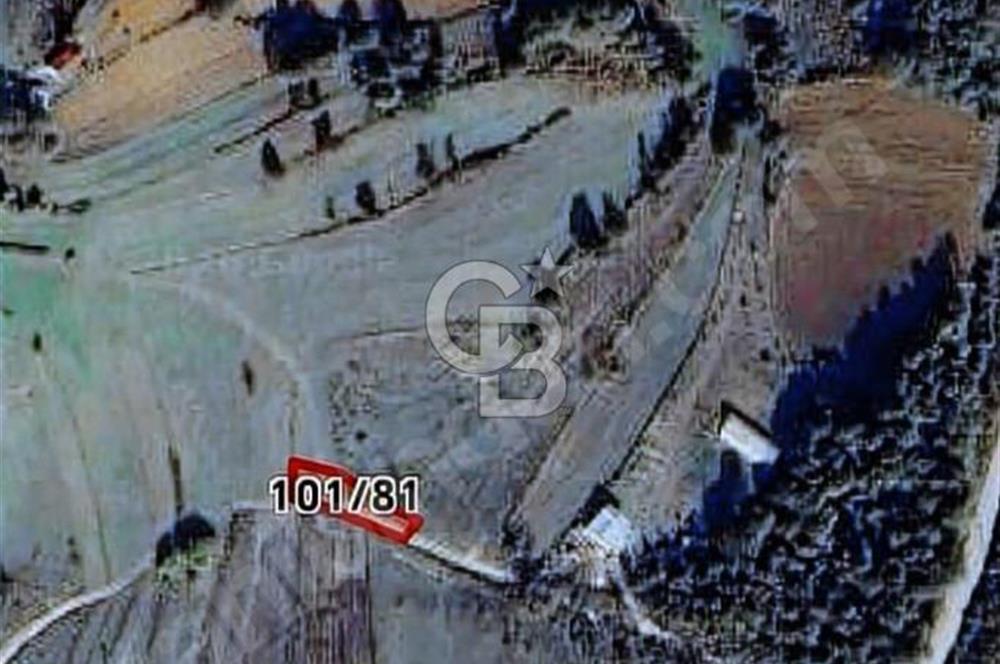 KÖRFEZ ALİHOCALAR DA 347 M2 SATILIK TARLA 